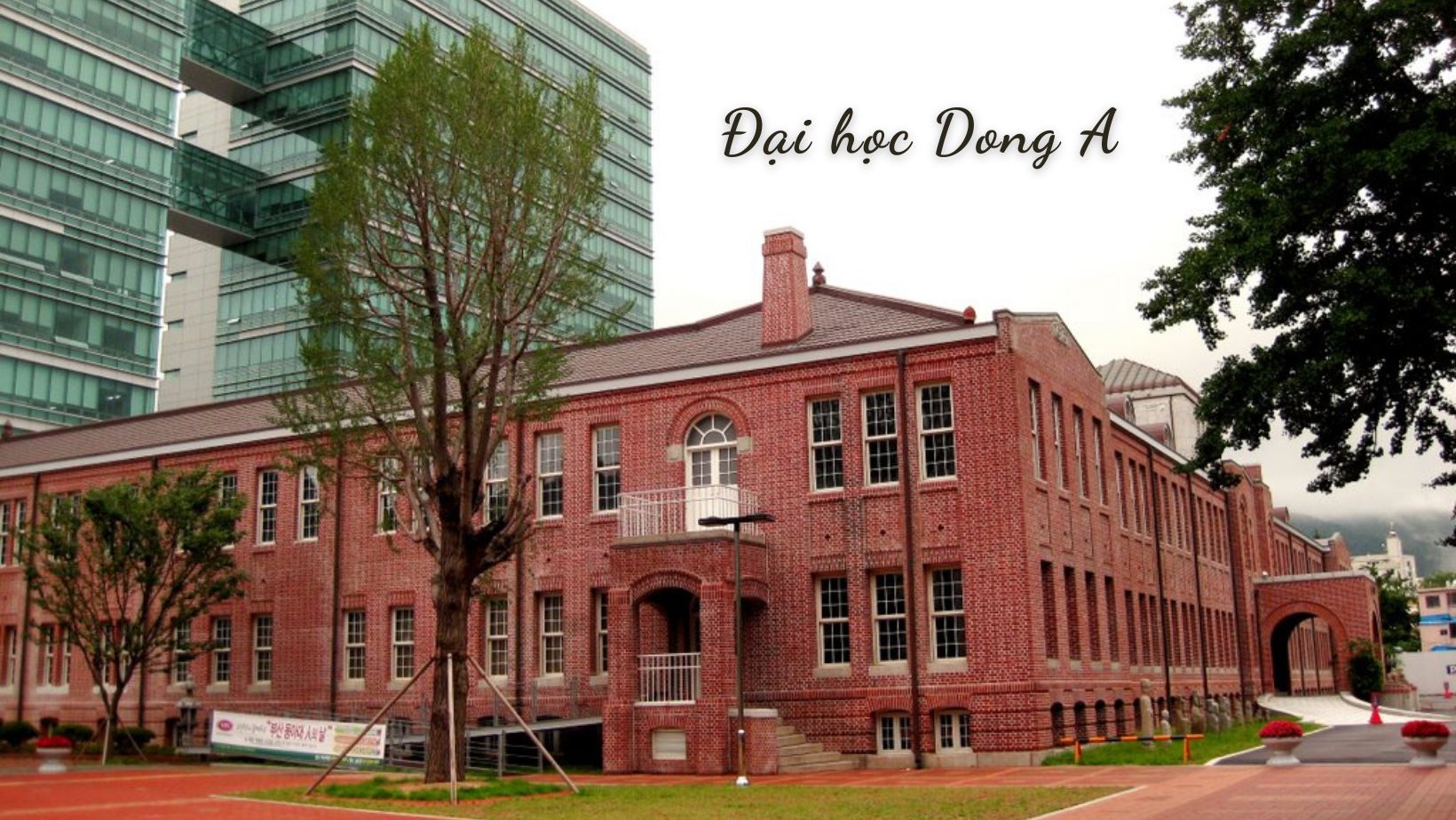 Đại học Dong A - điểm đến của sinh viên quốc tế 