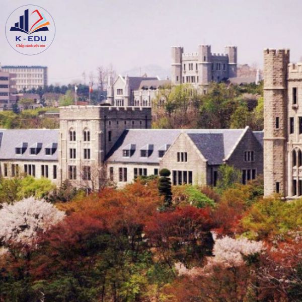 Korea University