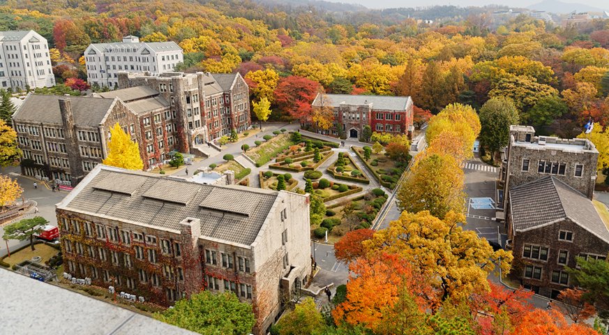 Trường đại học yonsei - 연세대학교