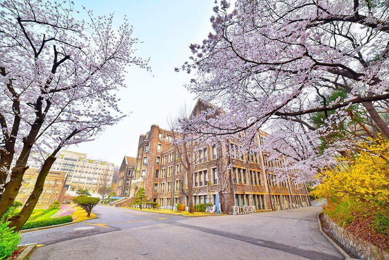 đại học yonsei