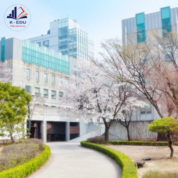 Đại học sungkonghoe Hàn Quốc - Điều kiện, học bổng và học phí