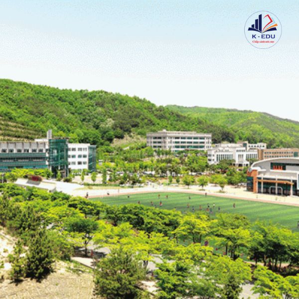 Trường Uiduk có sân bóng rộng