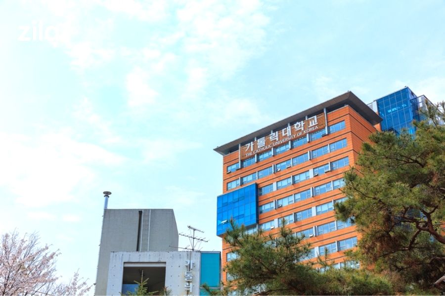 Trường đại học catholic busan