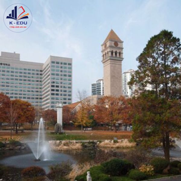 Điều kiện du học sejong University