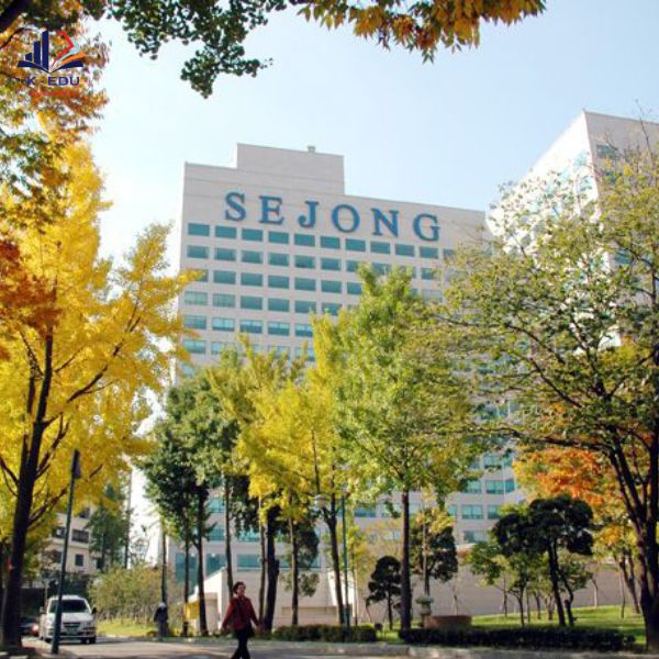 Khung cảnh đẹp trường sejong