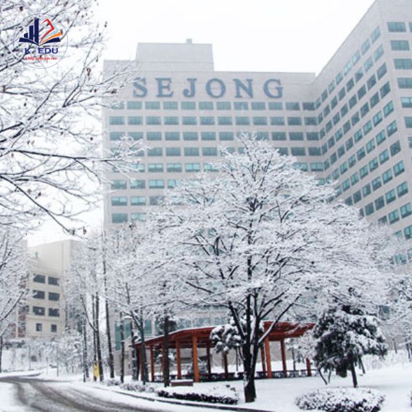 Trường sejong và mùa đông