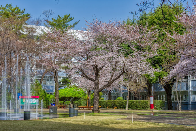 Kit kyungnam