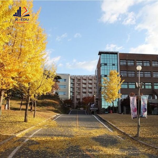 Đại học Daekyeung Hàn Quốc - Daekyeung College