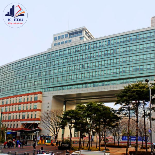 Đại học hongik Hàn Quốc - Trường top đầu về nghệ thuật và thiết kế