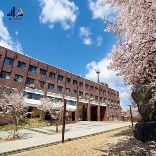 Trường ĐẠI HỌC DAEJEON Hàn Quốc - 대전대학교