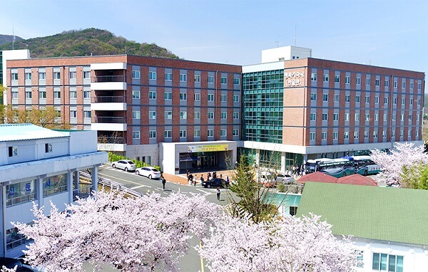 Các loại học bổng trường trường daegu hanny