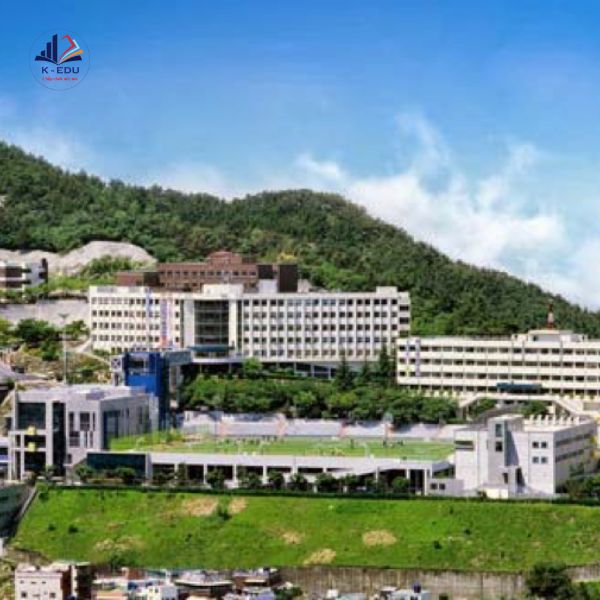 Đại Học Kỹ Thuật Daegu Hàn Quốc