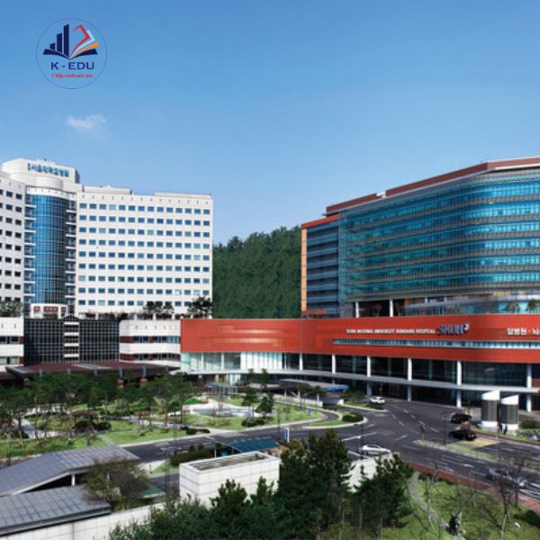 Khu nhà chính của trường Daegu Technical University