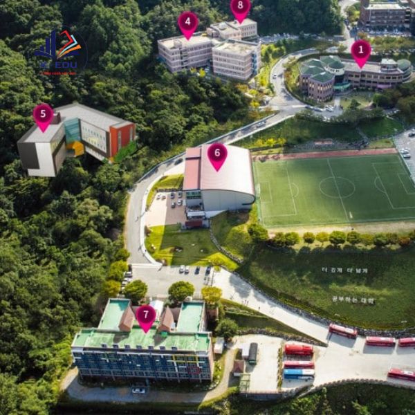 Toàn cảnh Đại học nghệ thuật Daegu Hàn Quốc