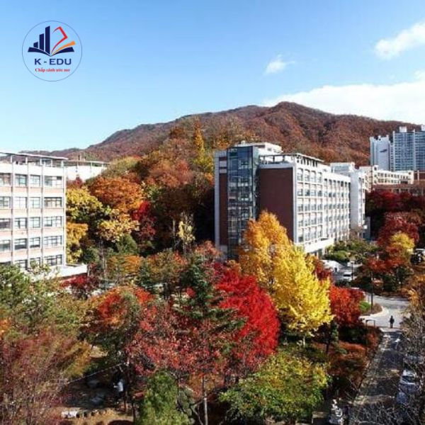 Trường Shingu College trồng nhiều cây xanh