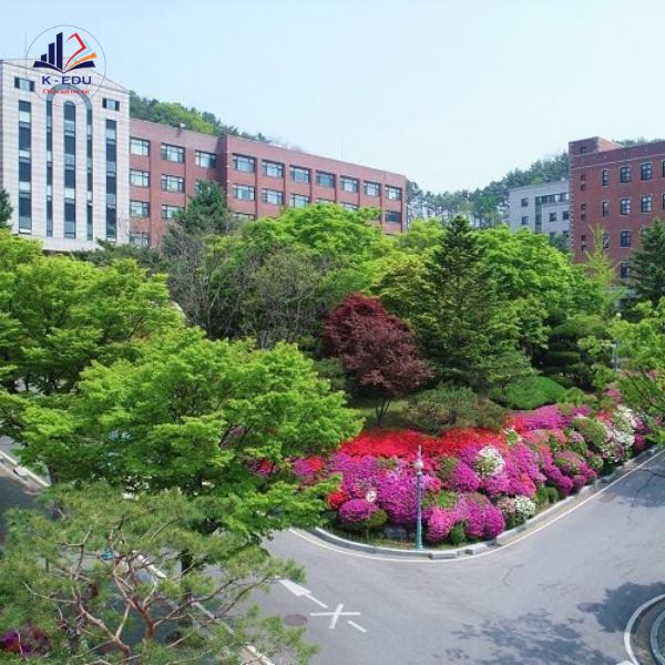trường Yong-In Songdam College trồng nhiều cây xanh
