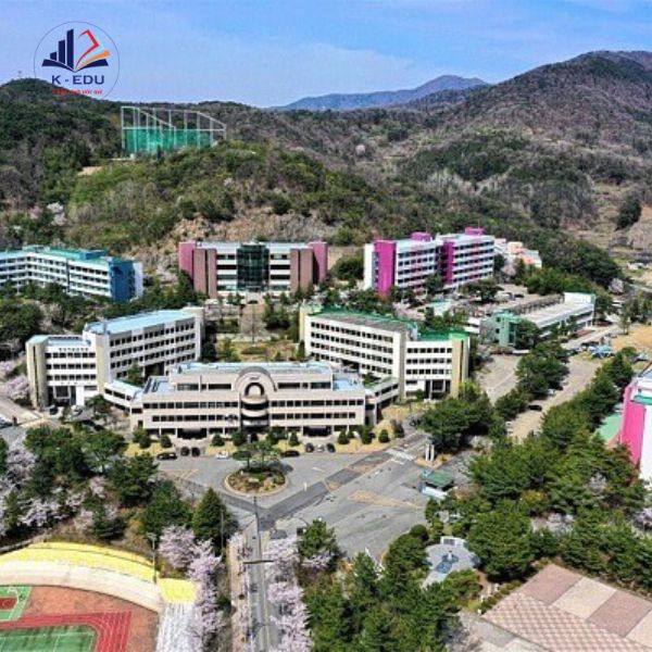 Khung cảnh trên cao của Trường Cao Đẳng Dongwon