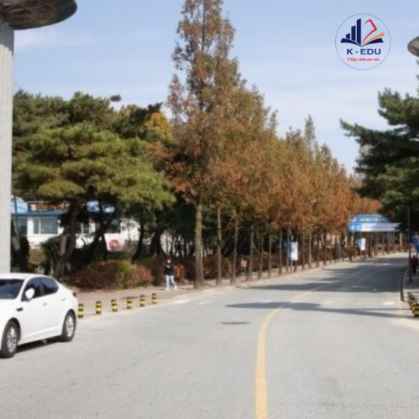 đường vào Đại Học Khoa Học Và Sức Khỏe Chungbuk