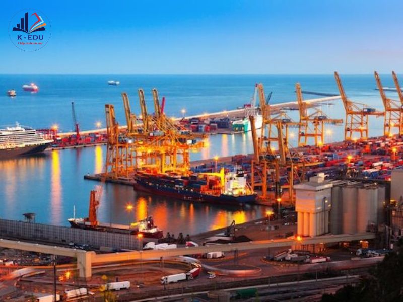 Du học ngành Thương mại quốc tế tại Hàn Quốc học gì?