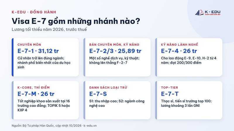 Các nhánh visa E-7 Hàn Quốc và mức lương tối thiểu năm 2026